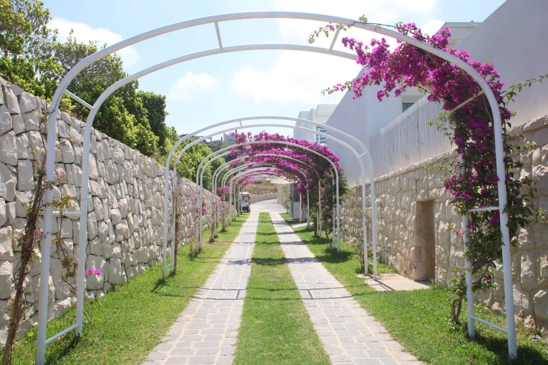 Orchid Escape Hotel