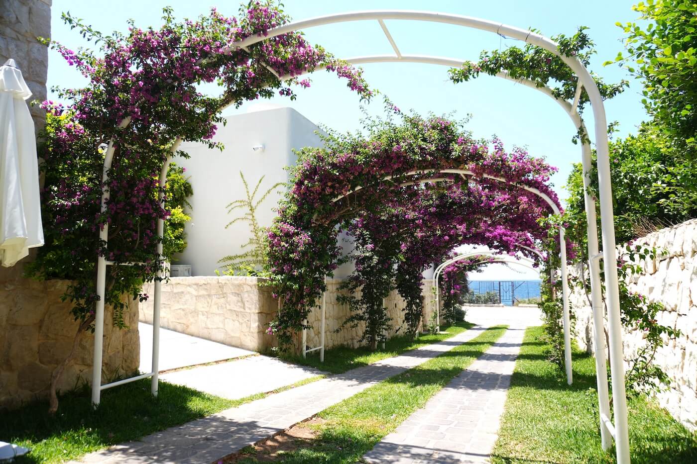Orchid Escape Hotel