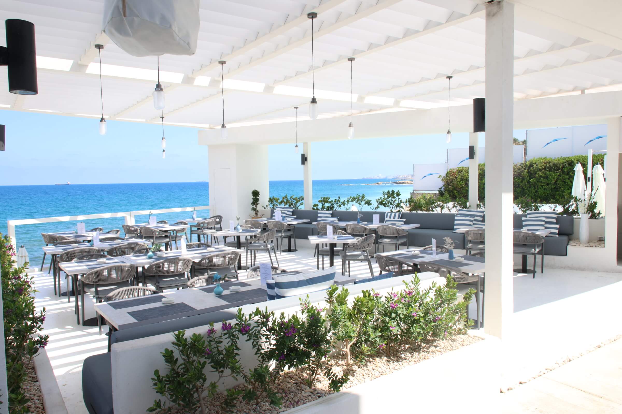 The Culinary Experience