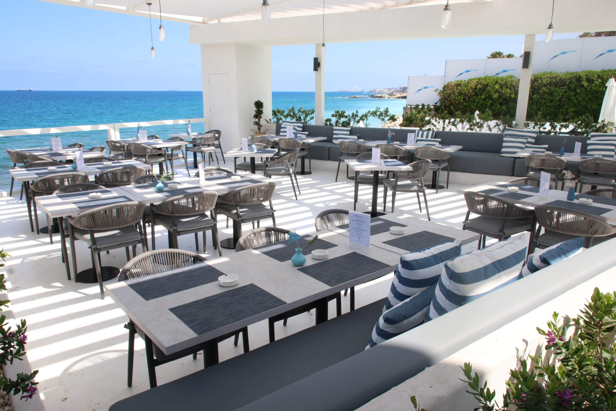 The Culinary Experience