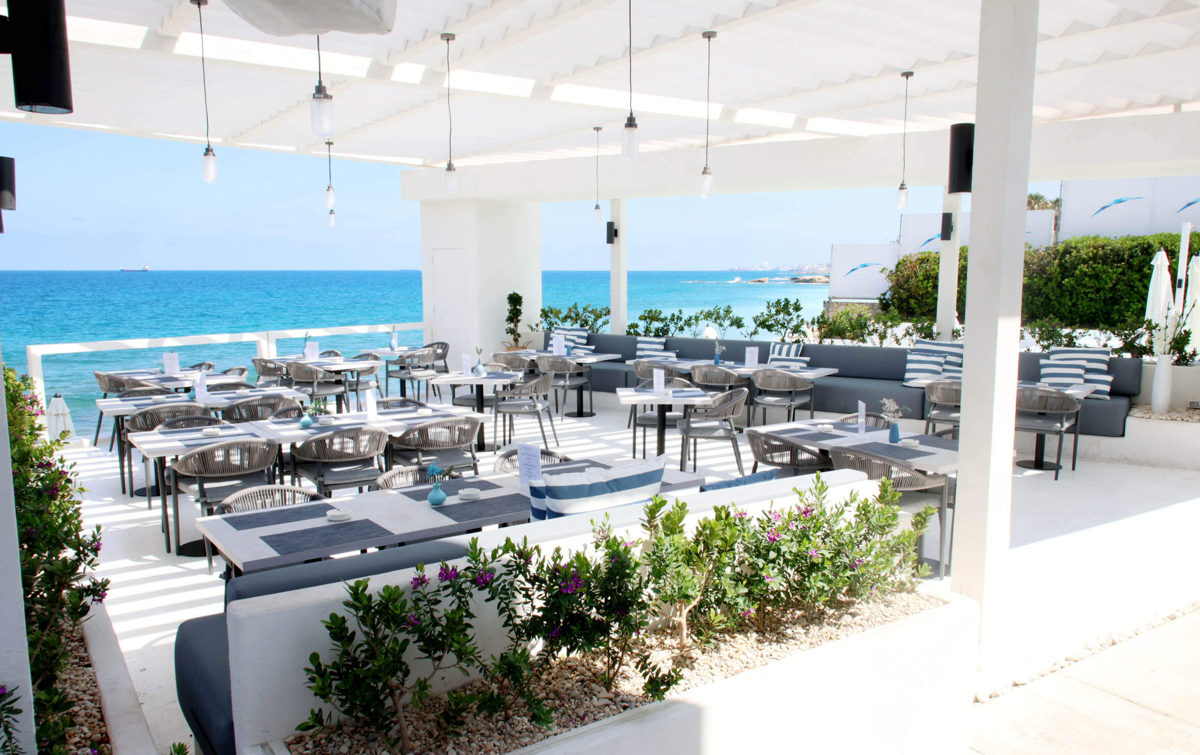 The Culinary Experience